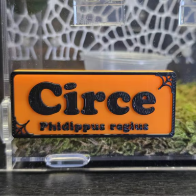 Magnetic Personalized Spider Name Sign - For Tarantula, Jumping Spider, Slings - PAWS FRVR