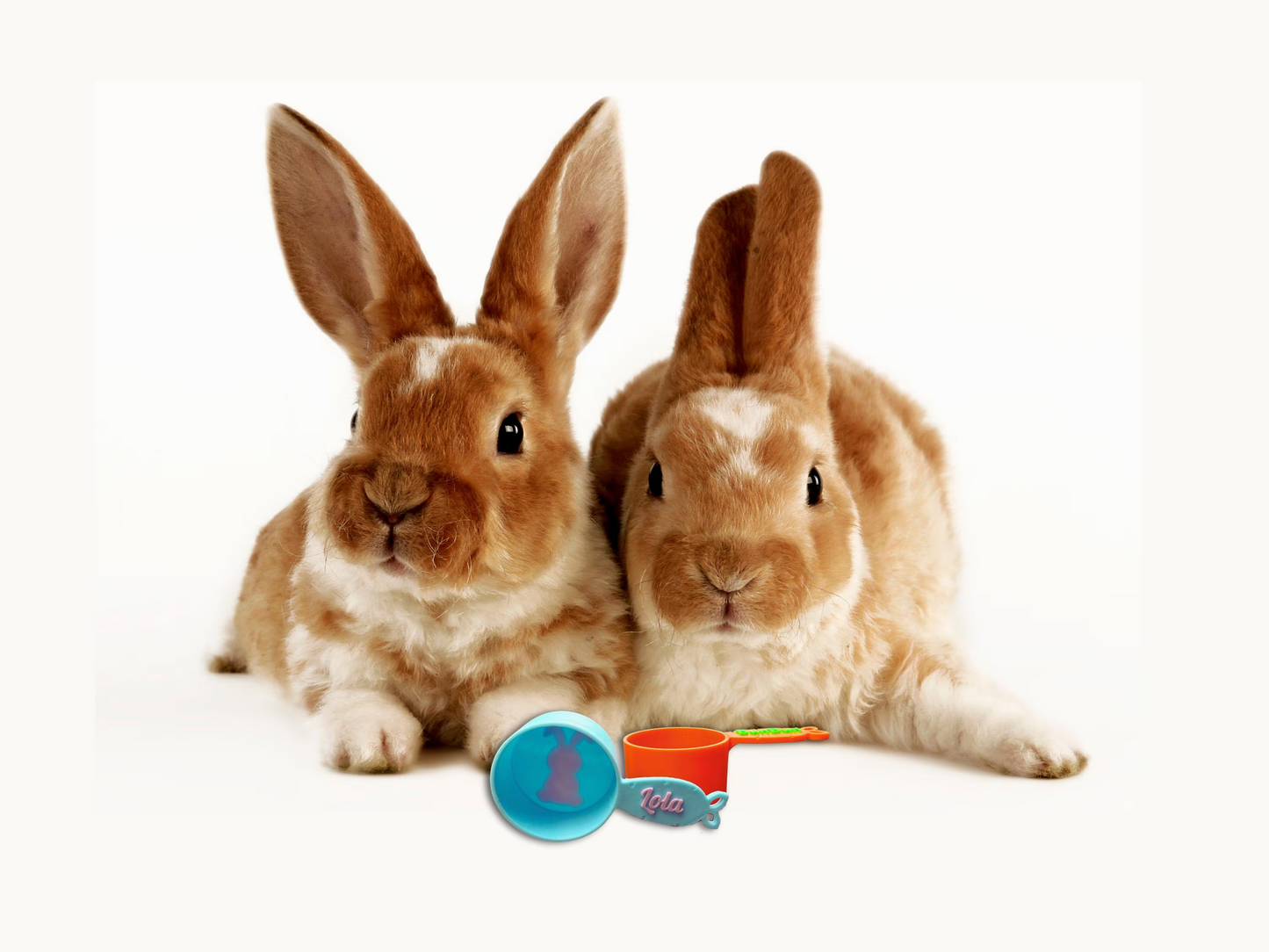 Personalized Rabbit Food Scoop & Measuring Cup - PAWS FRVR