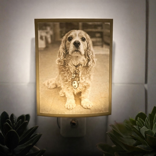 Lithophane Night Lights: The Most Unique Personalized Gift You Haven't Heard Of