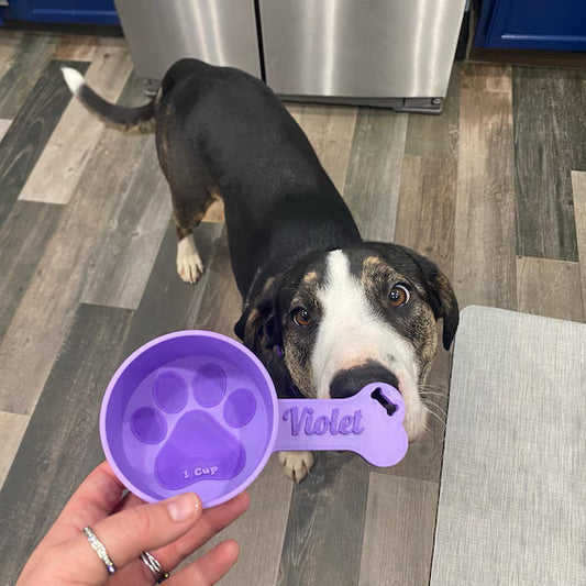 How Much Should I Feed My Dog? A Guide to Measuring Dog Food Correctly