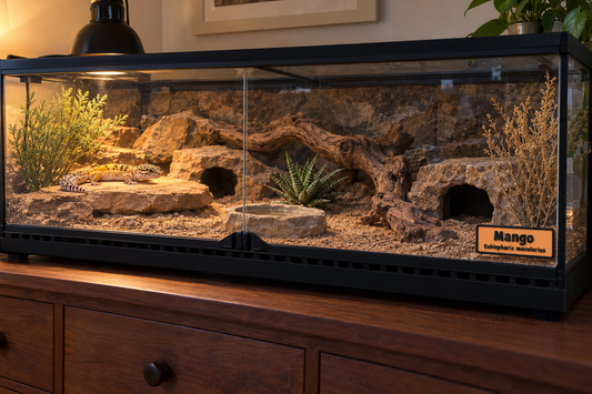 Leopard gecko enclosure with a personalized magnetic reptile name sign