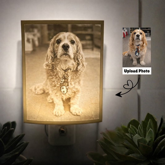 Personalized pet memorial night light made from photo – Paws FRVR