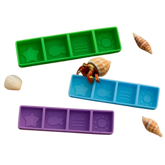 Hermit Crab Food Dish with 4 Compartments