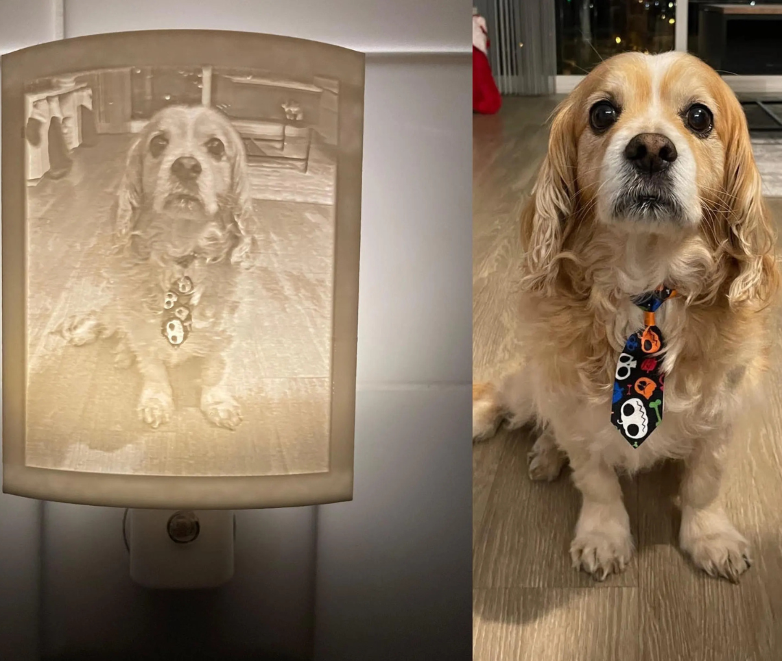 Personalized Night Light - Gift for Pet Lovers, Weddings, Mother's Day, Kids, Pet Loss - PAWS FRVR