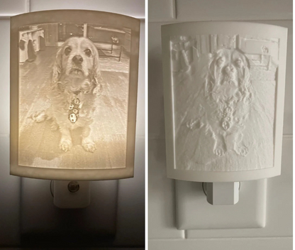 Personalized Night Light - Gift for Pet Lovers, Weddings, Mother's Day, Kids, Pet Loss - PAWS FRVR