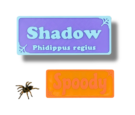 Magnetic Personalized Spider Name Sign - For Tarantula, Jumping Spider, Slings - PAWS FRVR