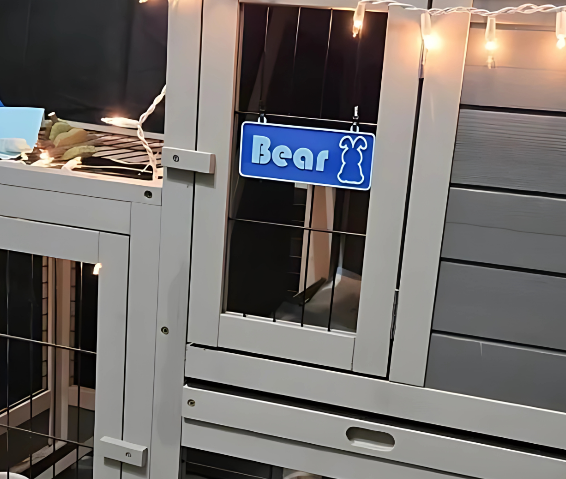 Personalized Rabbit Name Sign - Custom Cage Bunny Nameplate - PAWS FRVR