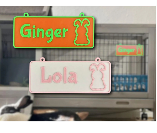 Personalized Rabbit Name Sign - Custom Cage Bunny Nameplate - PAWS FRVR
