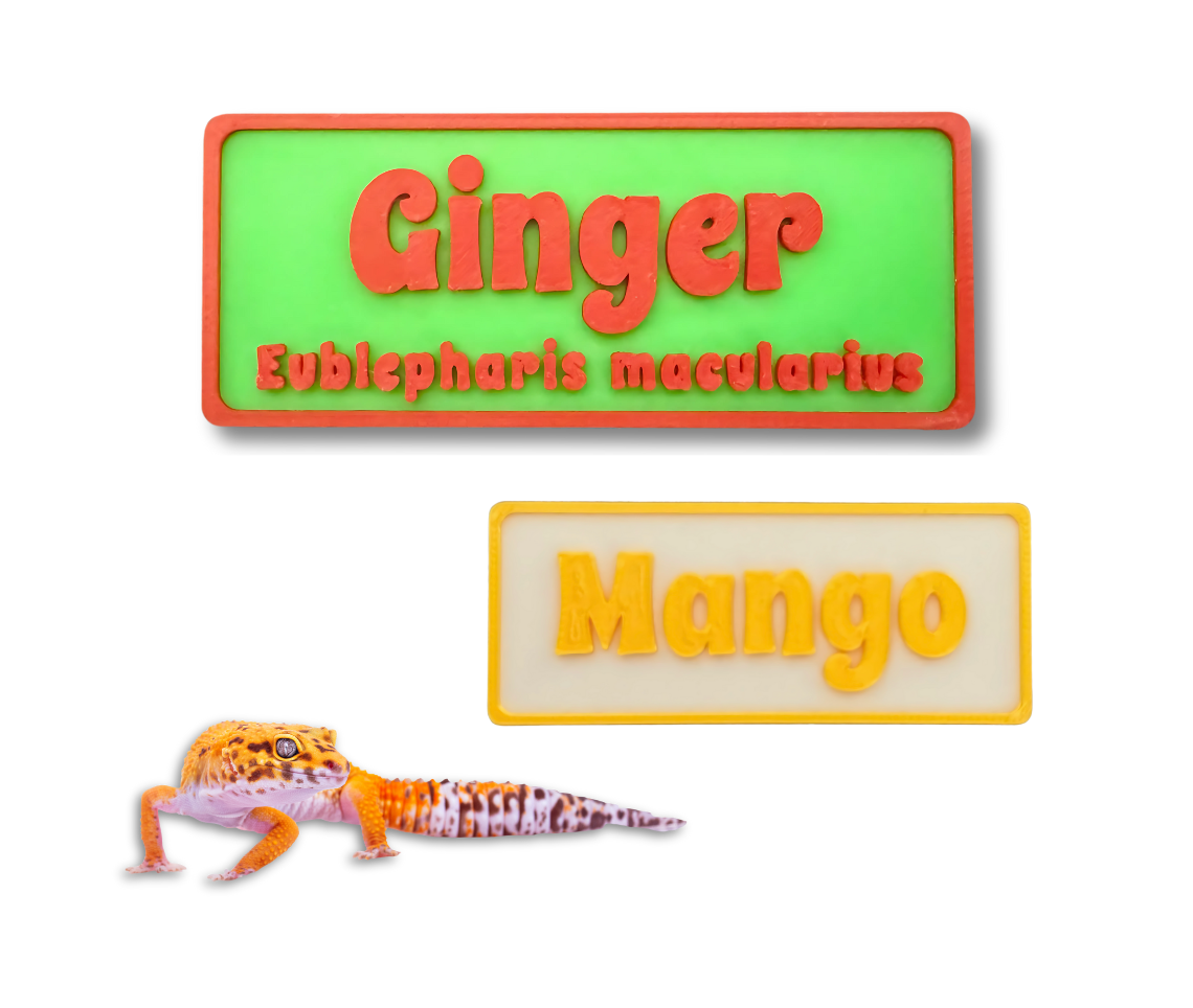 Magnetic Reptile Personalized Name Sign - For Leopard Gecko, Crested Gecko, Lizard, Snakes, Hermit Crab & more - PAWS FRVR