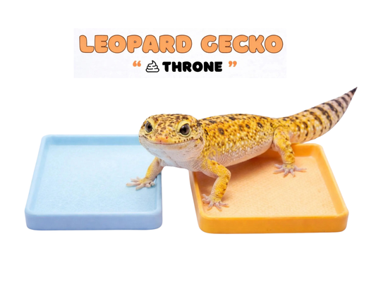 Leopard Gecko Litter Box & Throne