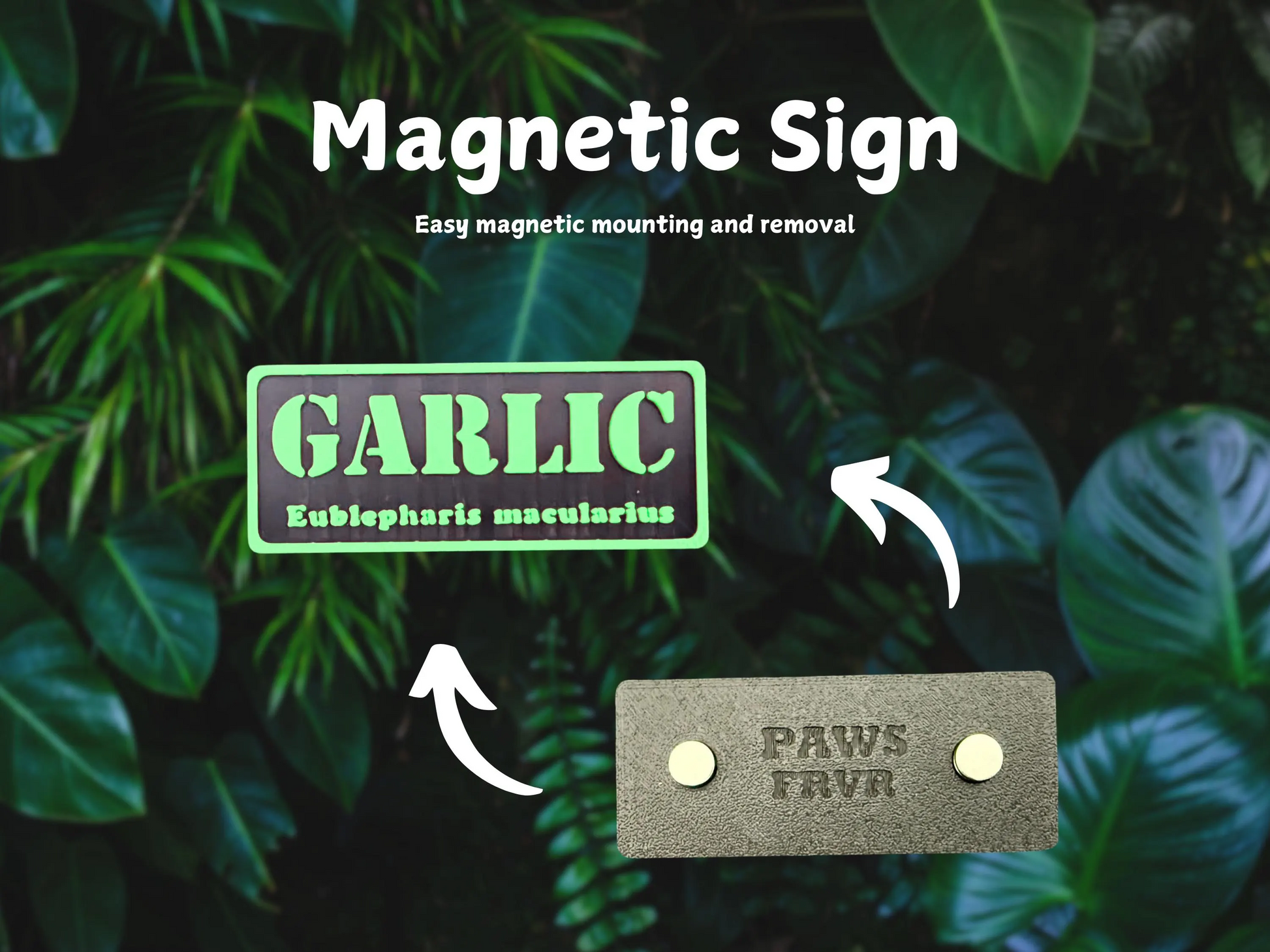 Magnetic Reptile Personalized Name Sign - For Leopard Gecko, Crested Gecko, Lizard, Snakes, Hermit Crab & more - PAWS FRVR