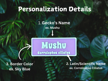 Magnetic Reptile Personalized Name Sign - For Leopard Gecko, Crested Gecko, Lizard, Snakes, Hermit Crab & more - PAWS FRVR