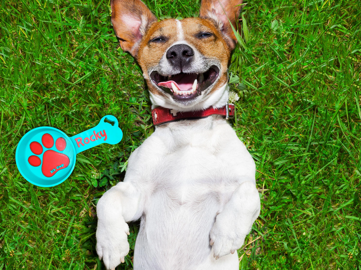 Personalized Dog Food Scoop & Measuring Cup - PAWS FRVR