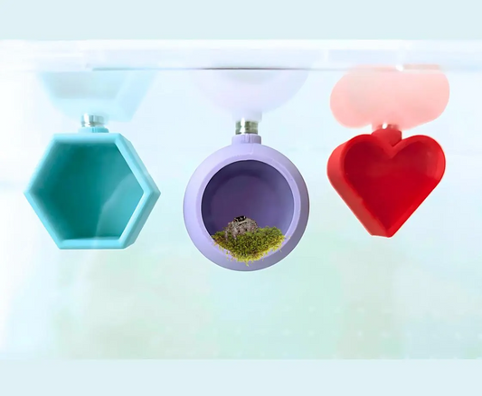 Magnetic Jumping Spider Hide Decor - (Sphere, Heart, Hex, Hexagon) - PAWS FRVR