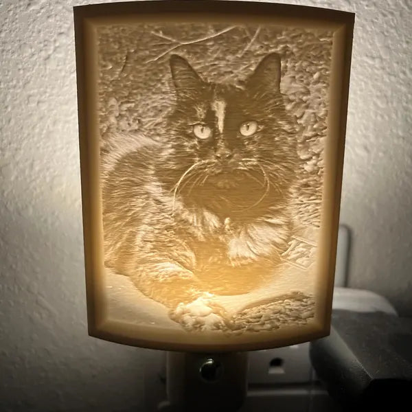 Personalized Night Light - Gift for Pet Lovers, Weddings, Mother's Day, Kids, Pet Loss - PAWS FRVR