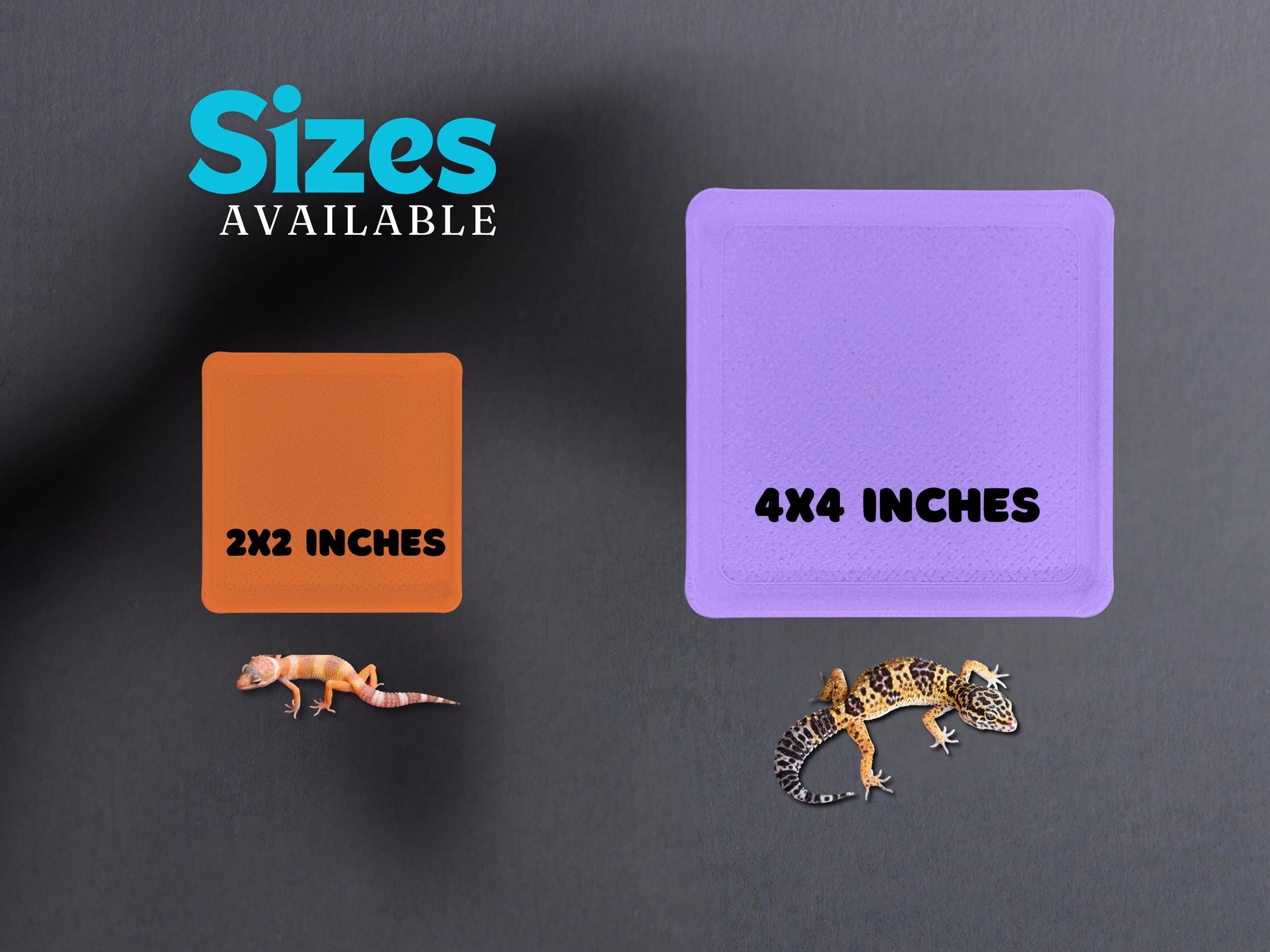 Leopard Gecko Throne & Gecko Litter Box - PAWS FRVR