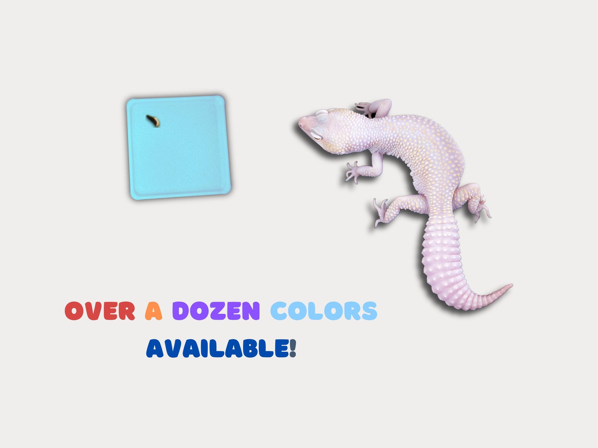 Leopard Gecko Throne & Gecko Litter Box - PAWS FRVR