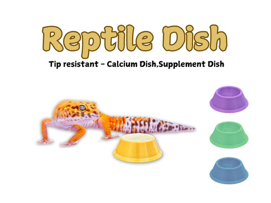 Reptile Calcium Dish & Gecko Supplement Dish - PAWS FRVR