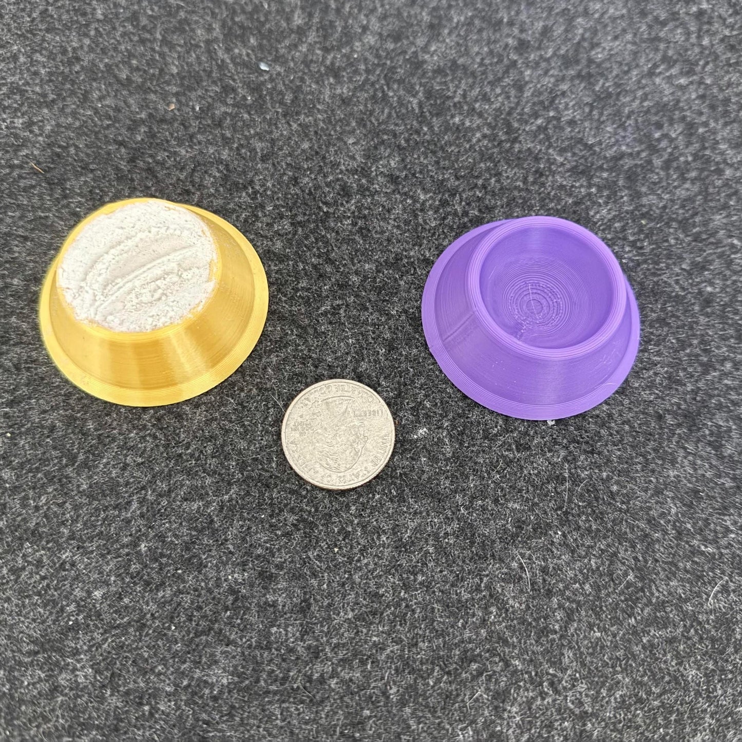 Reptile Calcium Dish & Gecko Supplement Dish - PAWS FRVR