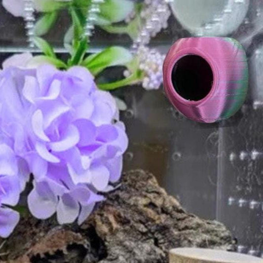 Corner Magnetic Jumping Spider Hide & Mourning Gecko Hide - PAWS FRVR