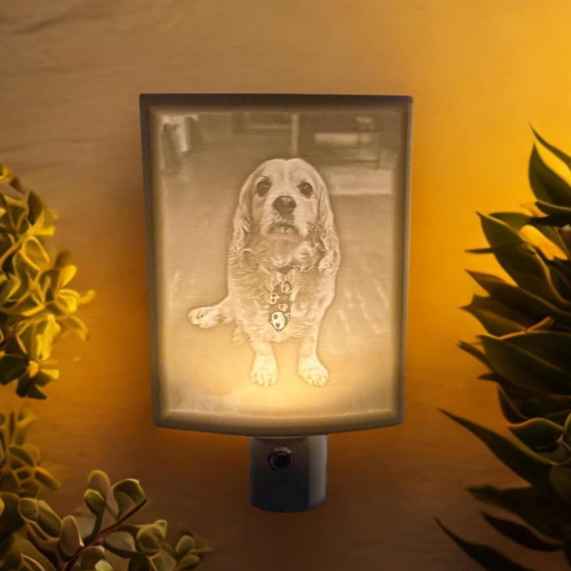 Custom dog photo night light glowing on a wall beside plants
