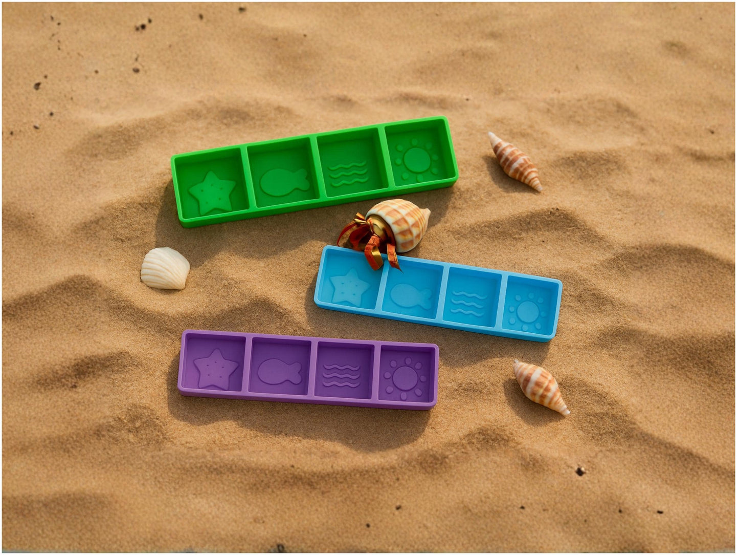 Hermit Crab Food Dish with 4 Compartments