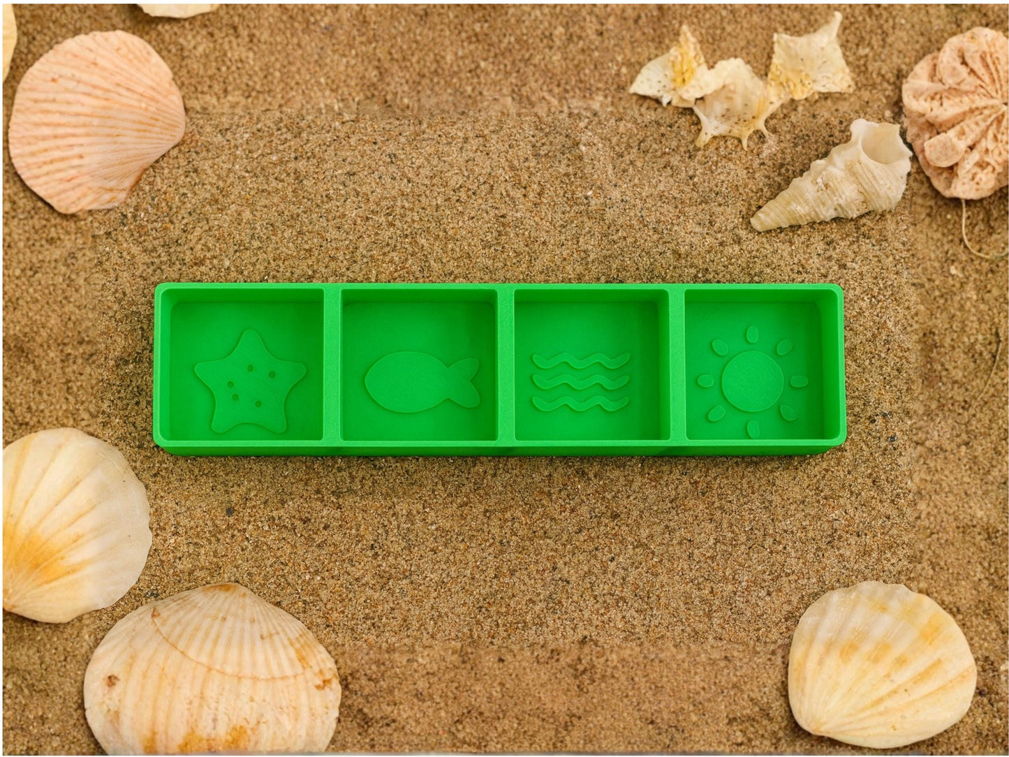 Hermit Crab Food Dish with 4 Compartments