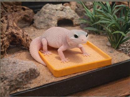 Leopard Gecko Litter Box & Throne