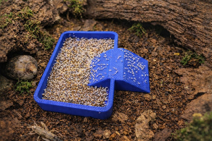 Isopod Feeding Dish with Ramp