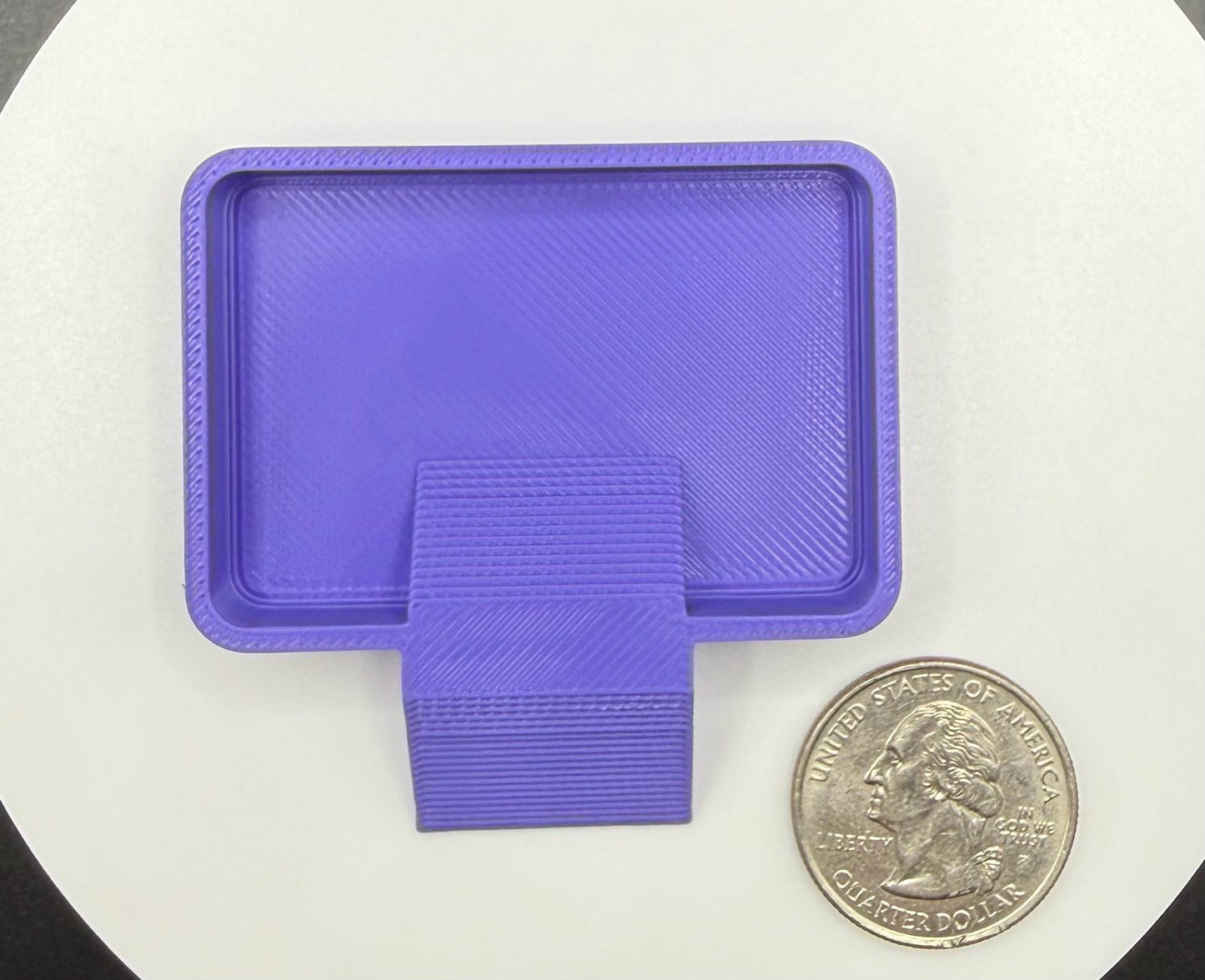 Isopod Feeding Dish with Ramp