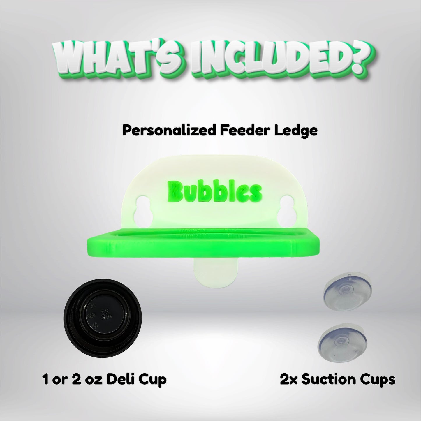 Personalized Reptile Feeding Ledge