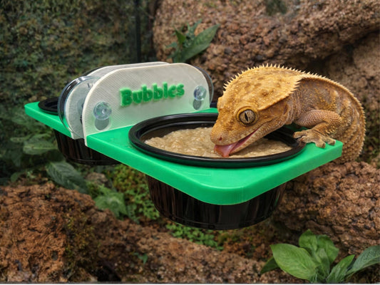 Personalized Reptile Feeding Ledge