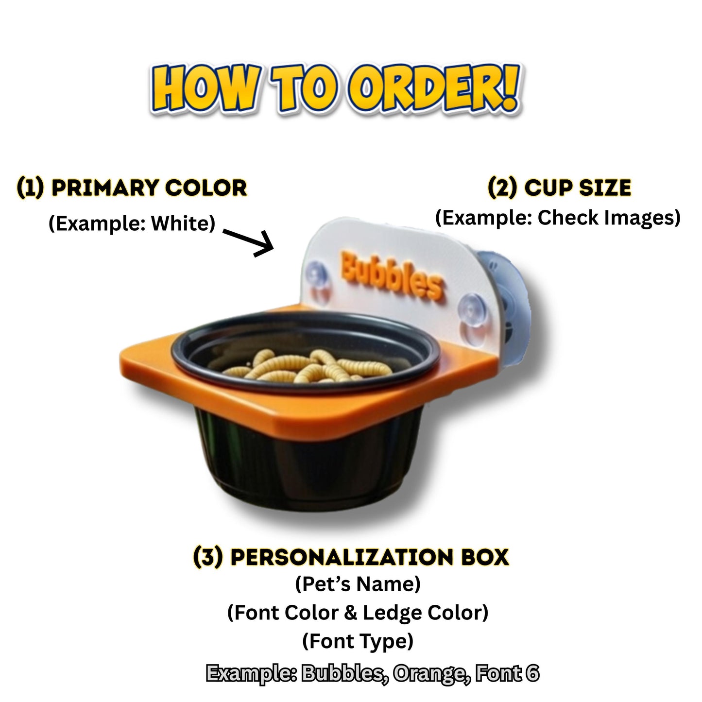 Personalized Reptile Feeding Ledge