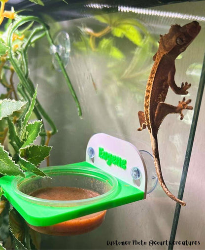 Personalized Reptile Feeding Ledge